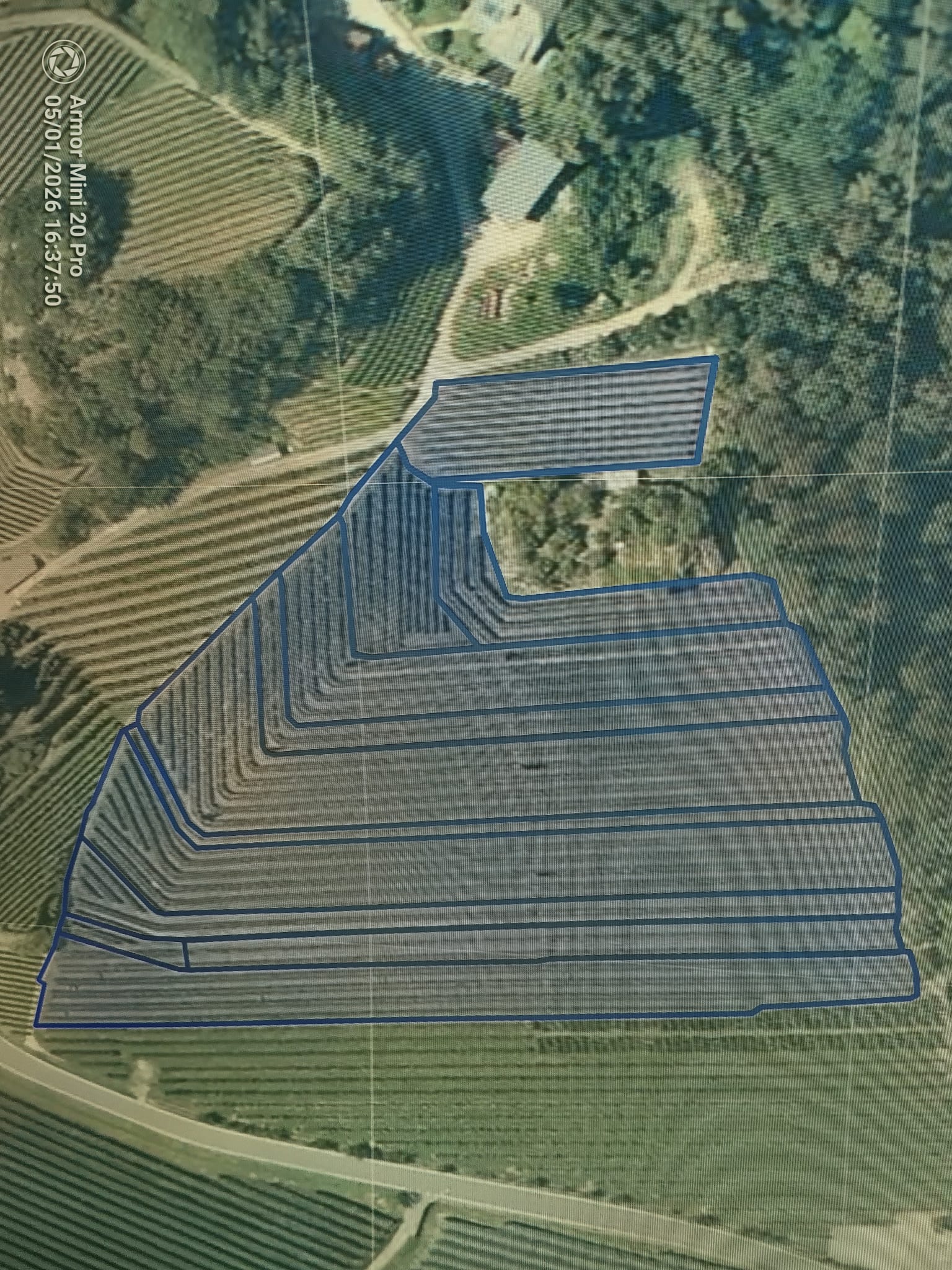 Luftbild Weinberg Unterrain